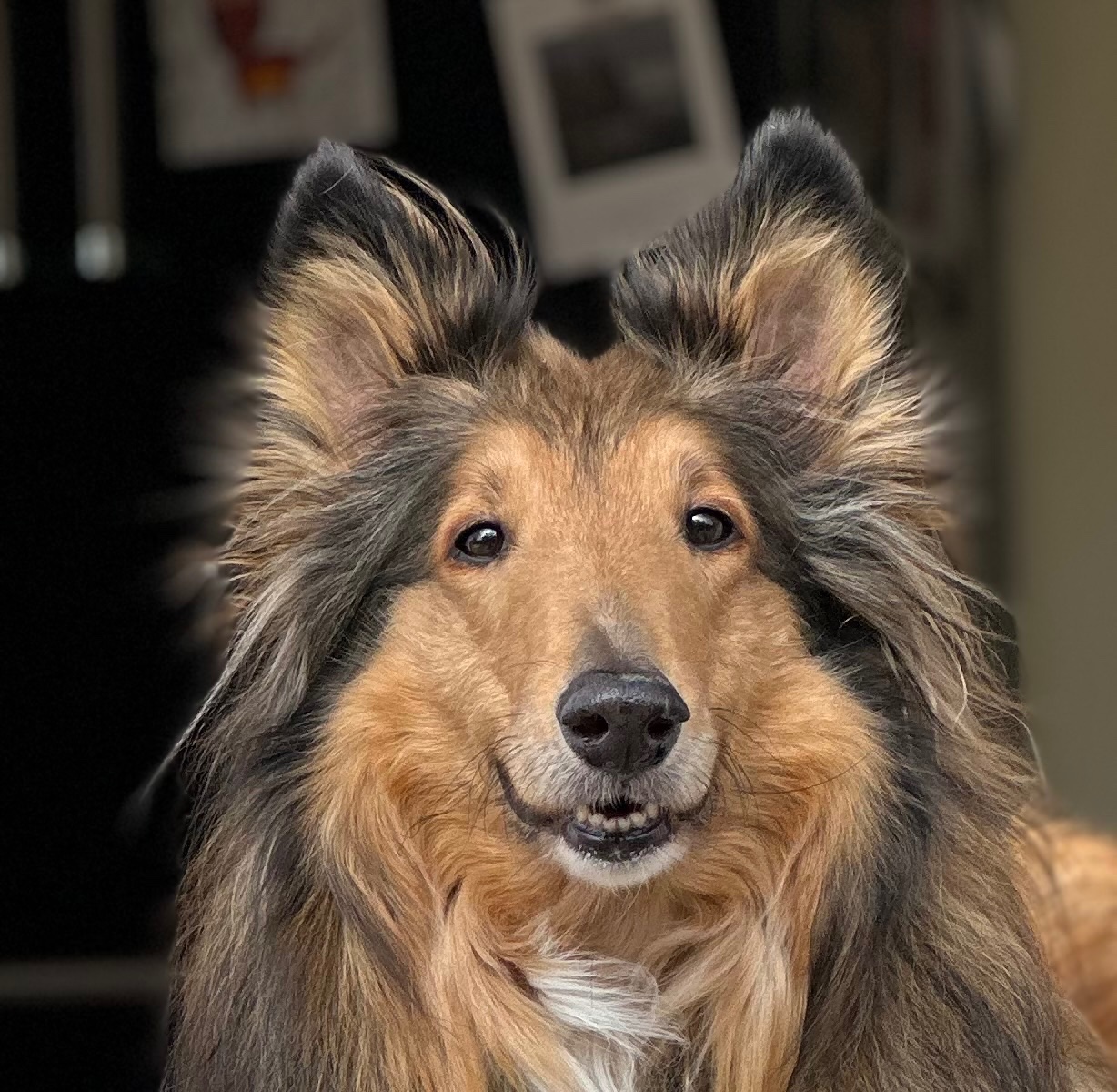 Rufus