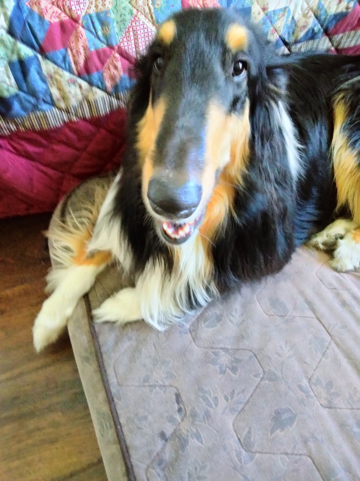 Sam
