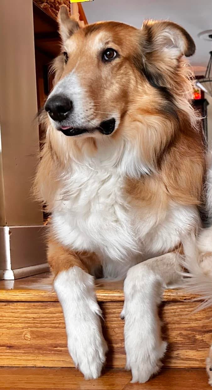 Tobi