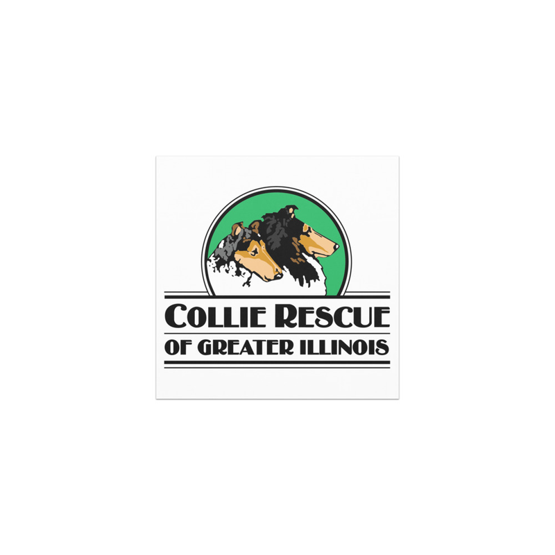 CRGI Logo Car Magnet