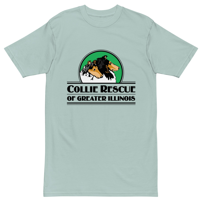Men’s premium heavyweight logo tee