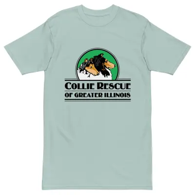 Men’s premium heavyweight logo tee