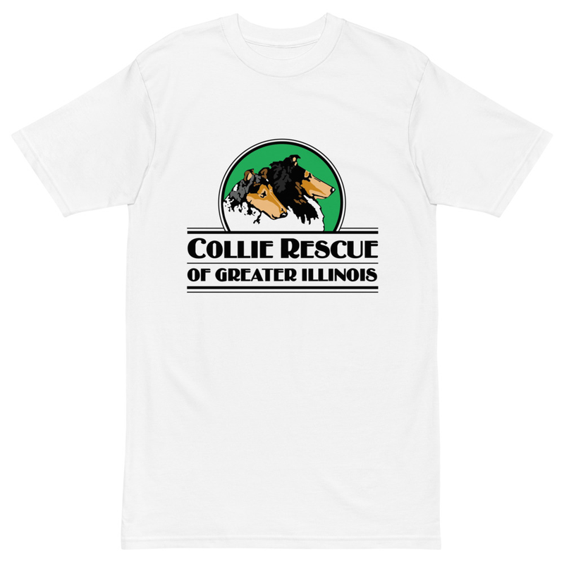 Men’s premium heavyweight logo tee