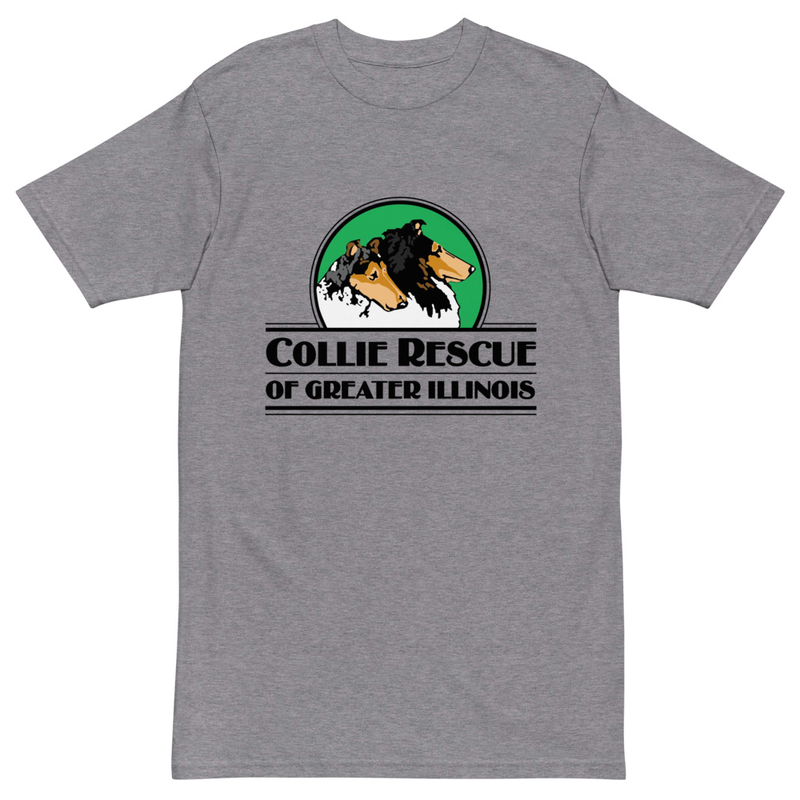 Men’s premium heavyweight logo tee