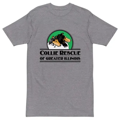 Men’s premium heavyweight logo tee