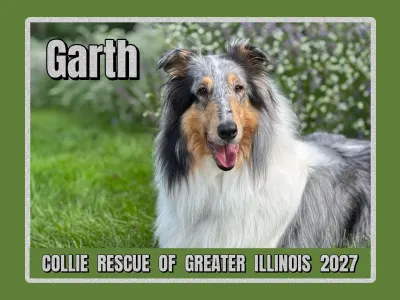 2027 CRGI Rescue Calendar