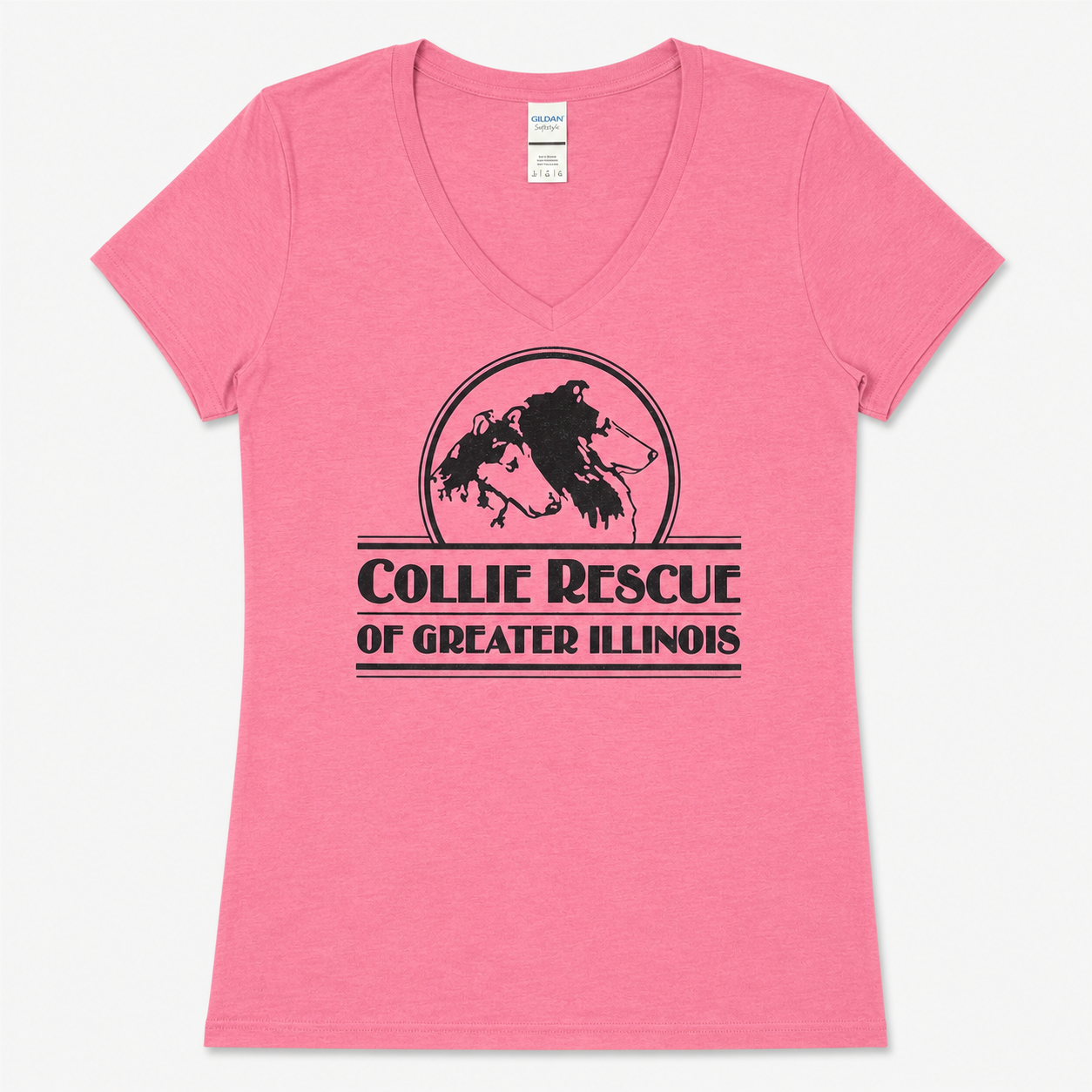 Ladies V-Neck T-Shirt