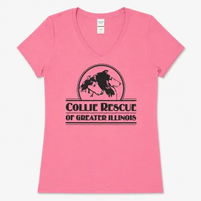 Ladies V-Neck T-Shirt